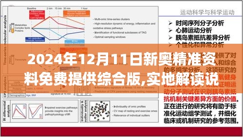 2024-2025新奥156期精准资料,精选解释解析落实