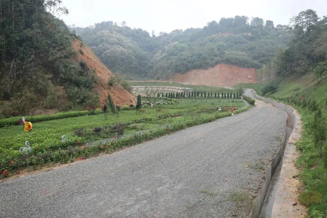 广东省林地建房有关政策解析