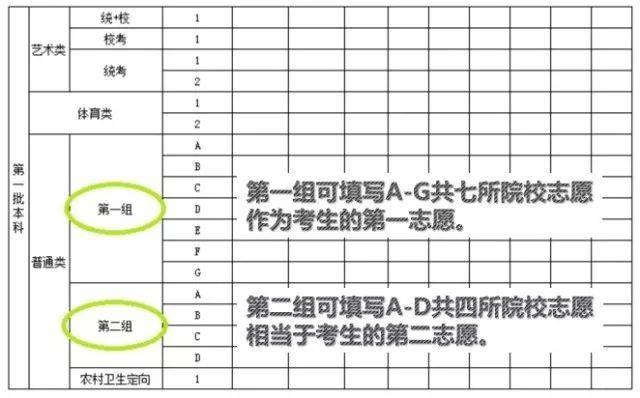 广东省考试时间，解析与影响