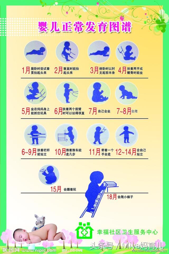 13个月宝宝发育指标男