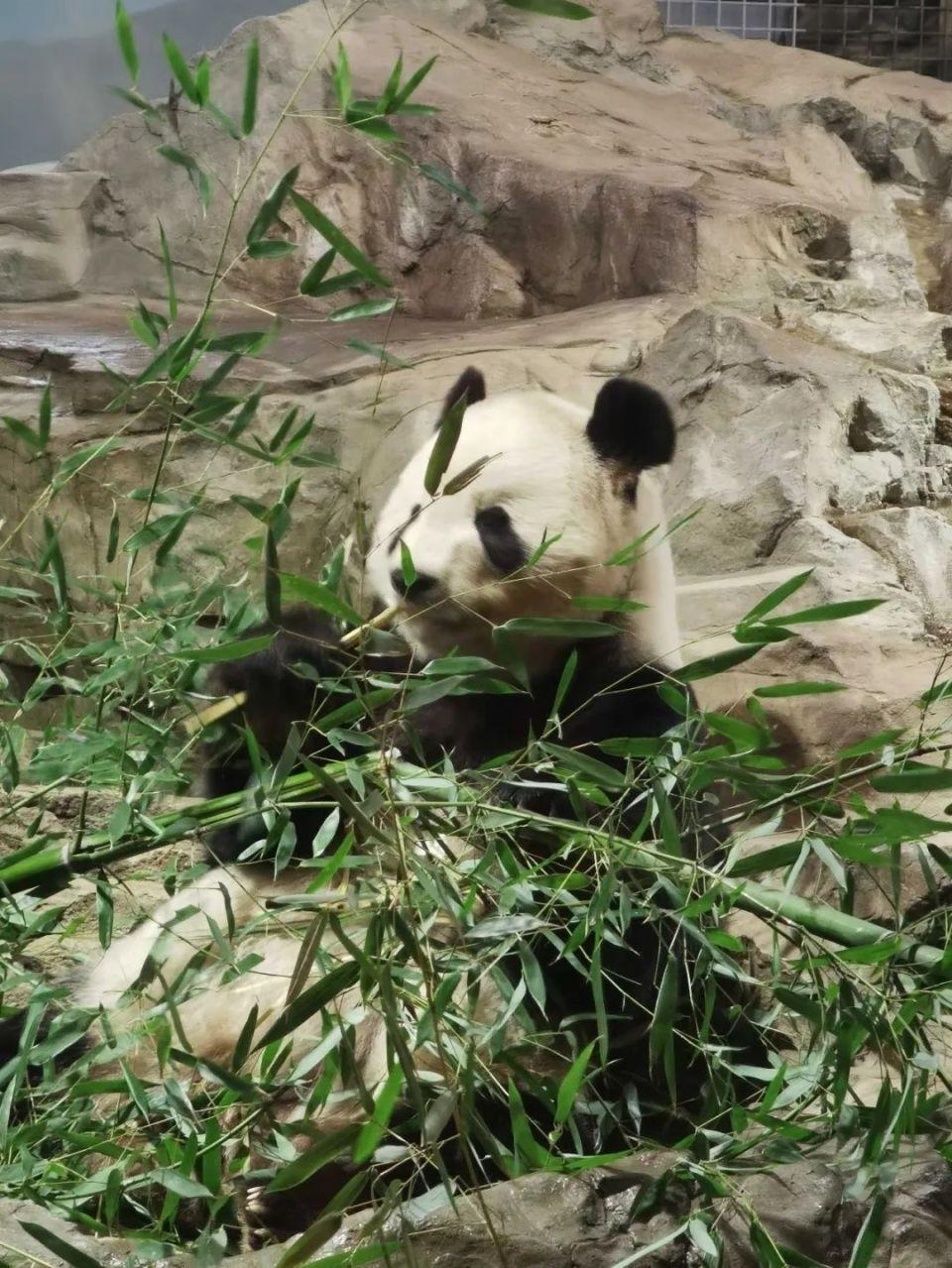 三个月宝宝多高，成长发育的奇迹与科学指南