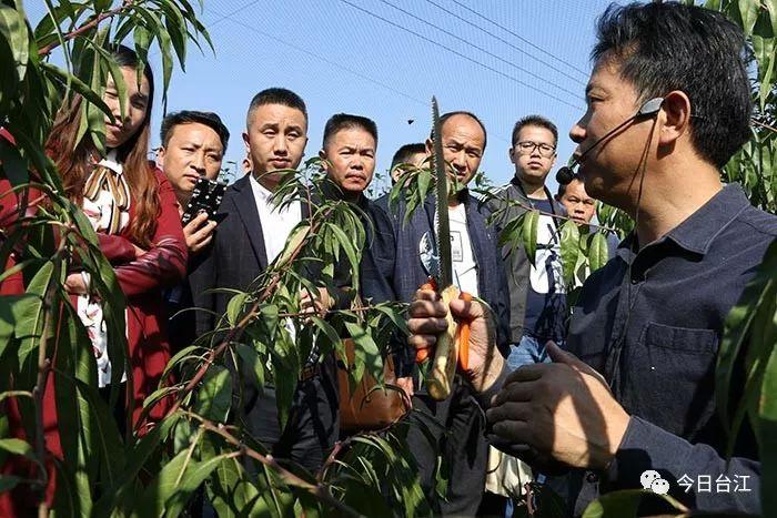 江苏恒泽科技，创新驱动，引领未来科技发展的先锋