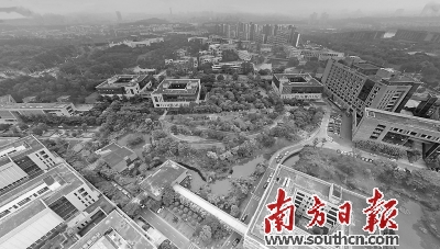 广东省东莞市茶山镇邮政编码，探索与解析