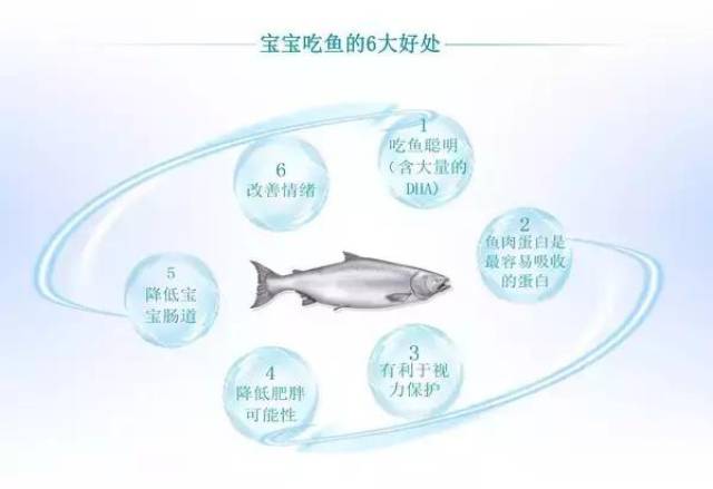 七个月大宝宝能否食用鱼肉？安全与营养的考量