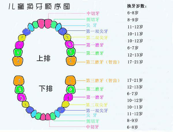 十个月宝宝没长牙，探索乳牙萌出的奥秘与家长的应对策略